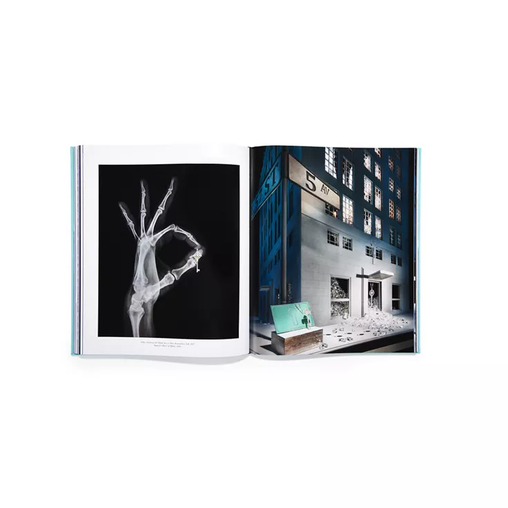 Assouline Windows at:Tiffany & Co. Book, 4