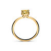Tiffany True&reg;:Engagement Ring with a Cushion-cut Yellow Diamond in 18k Yellow Gold image number 5