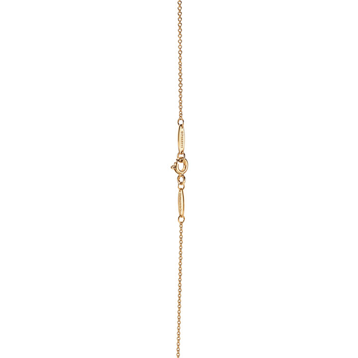 Elsa Peretti®:Color by the Yard Pendant in Yellow Gold with a Ruby image number 1