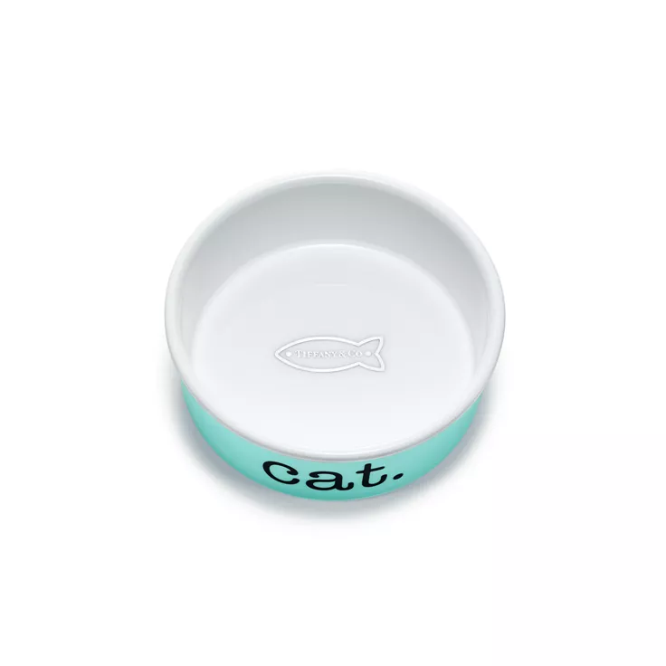 Cat Bowl , 2