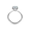 Tiffany True&reg; Engagement Ring with a Round Brilliant Diamond  image number 5