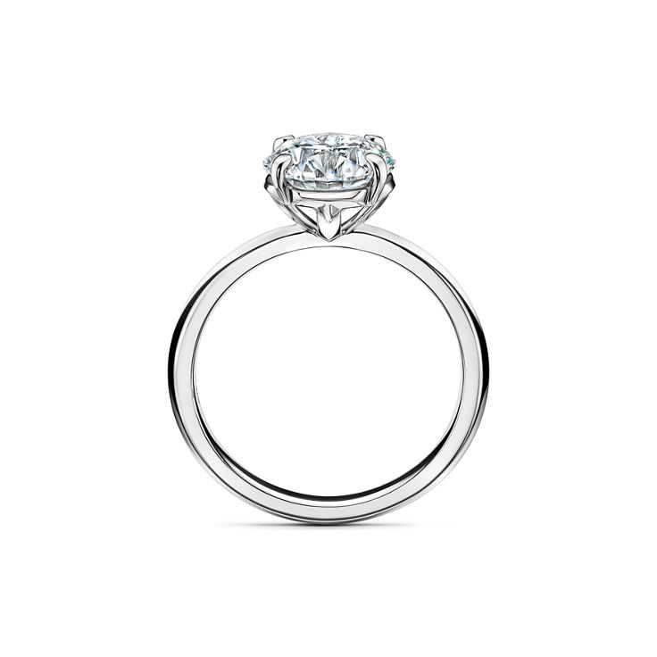 Tiffany True®: Engagement Ring with a Round Brilliant Diamond image number 5