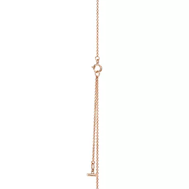 Tiffany T:Circle Anhänger mit Diamant und schwarzem Onyx in Roségold, 3