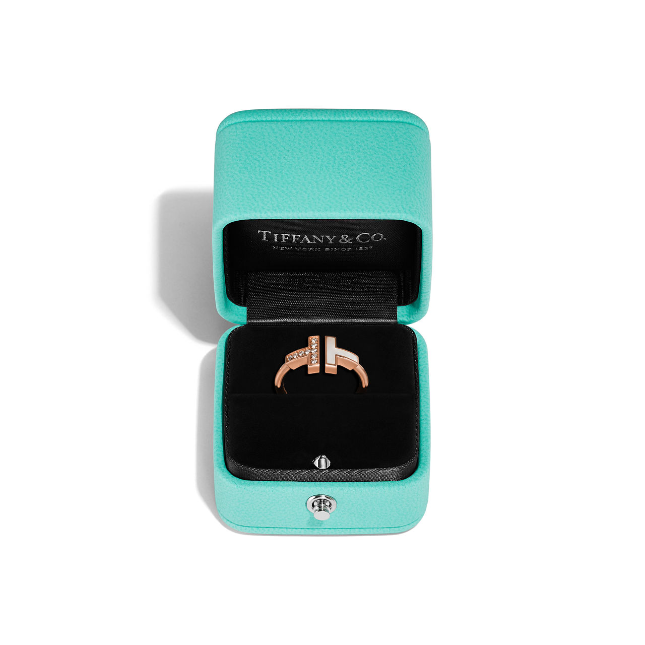 Tiffany T - thumbnail 5