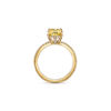 Tiffany True&reg;:Engagement Ring with a Cushion-cut Yellow Diamond and an 18k Yellow Gold Diamond Band image number 3