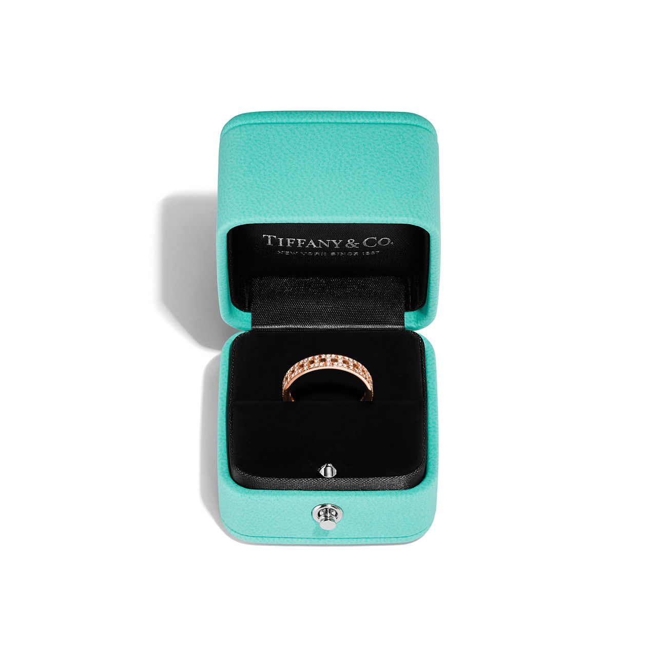 Tiffany T - thumbnail 5