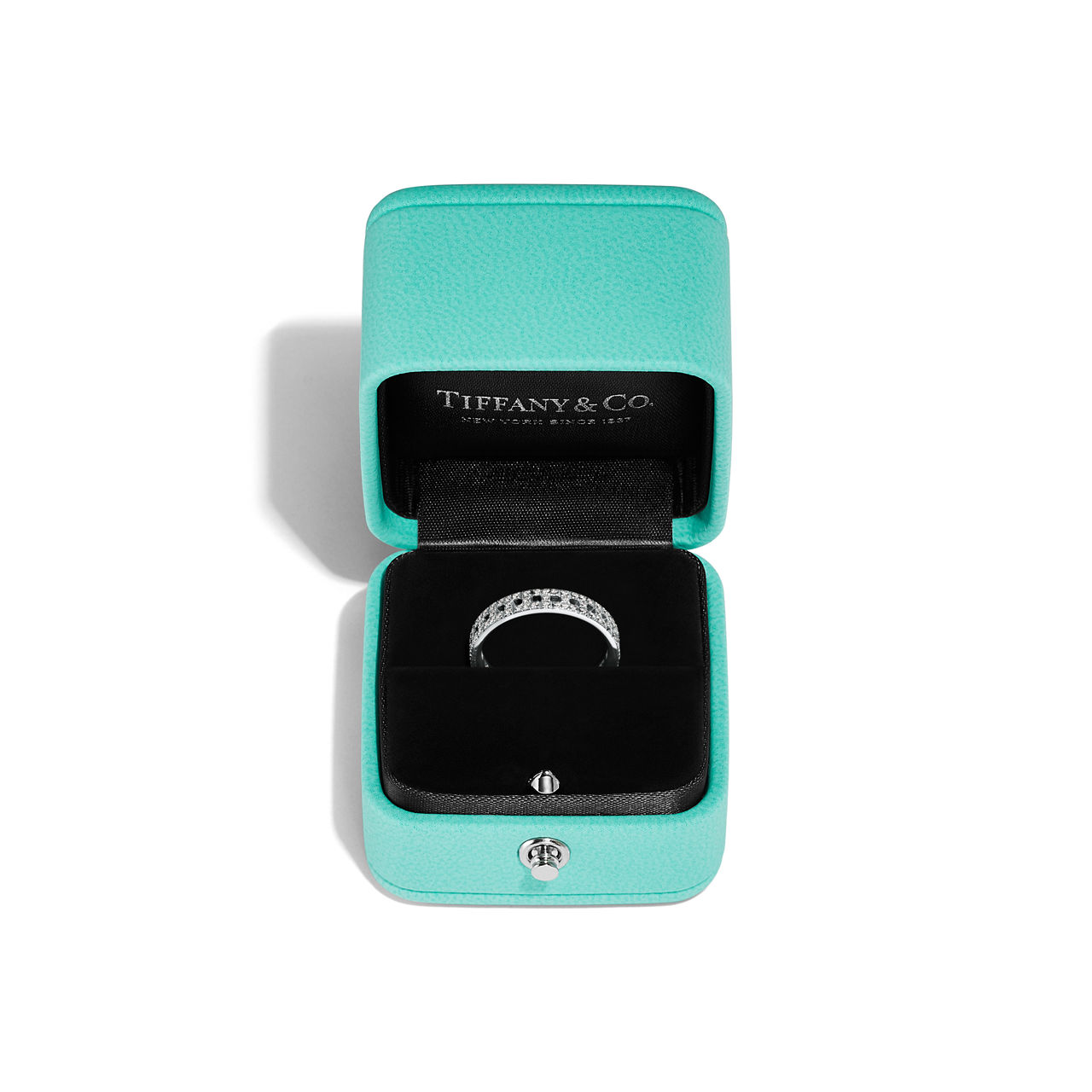 Tiffany T - thumbnail 10