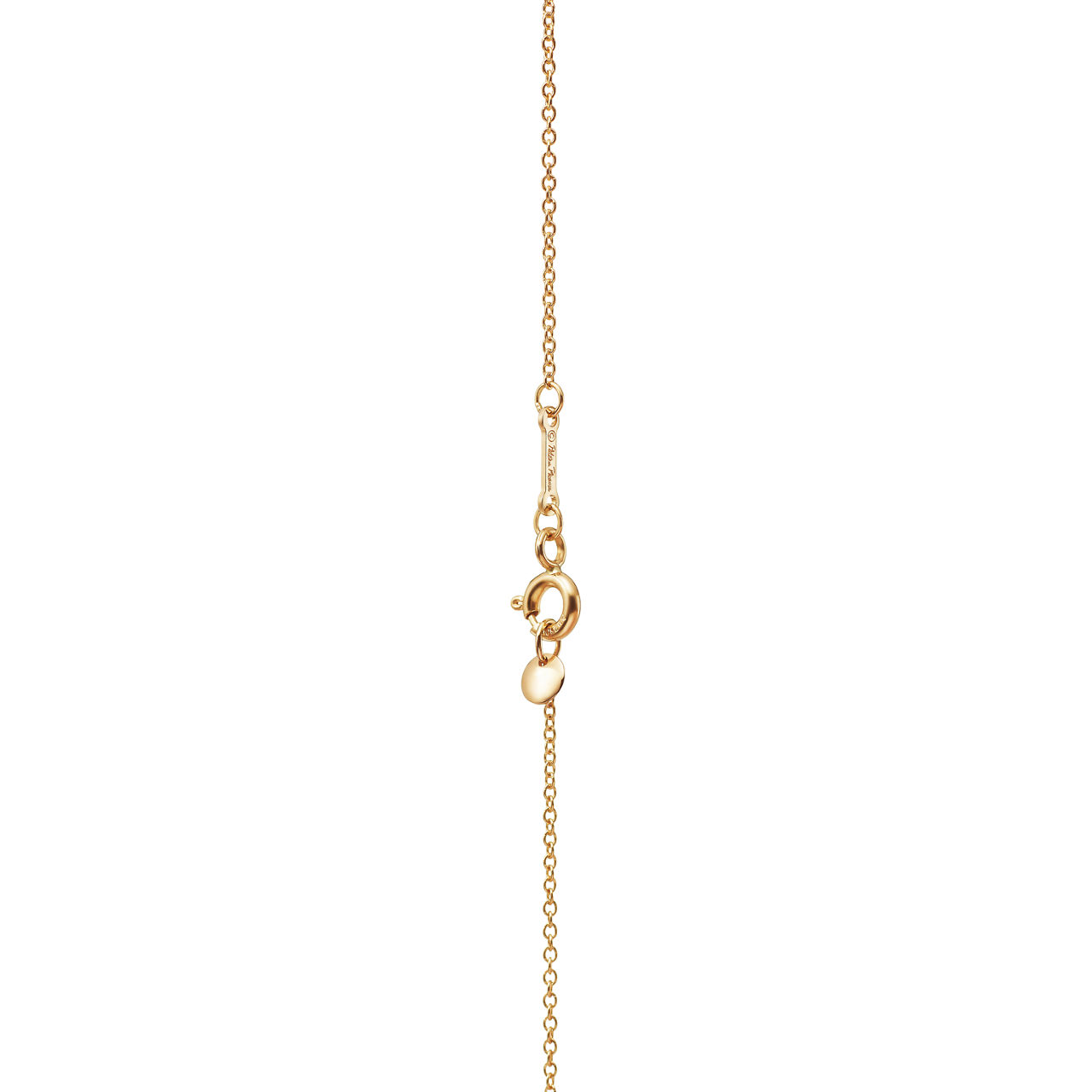 Paloma's Studio:Hexagon Pendant in 18k Gold with a Rubellite image number 3