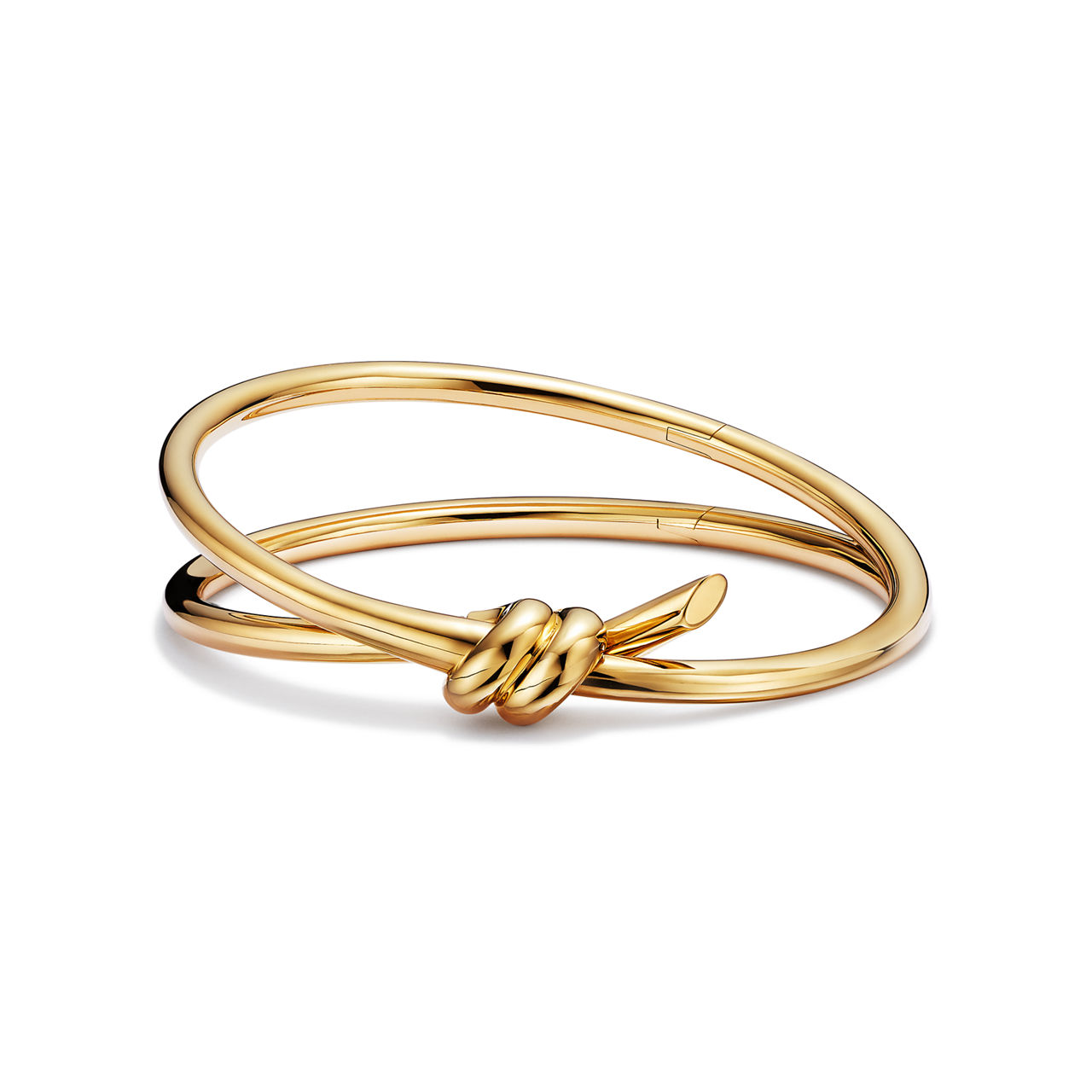 Double Row Hinged Bangle in Yellow Gold