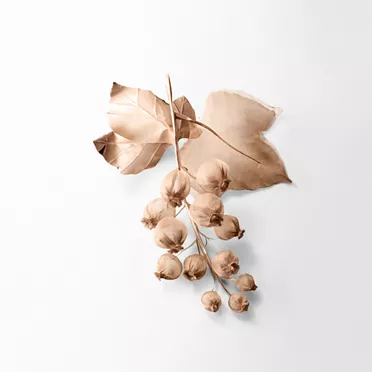 Tiffany:Lozione Rose Gold 200 ml, 3