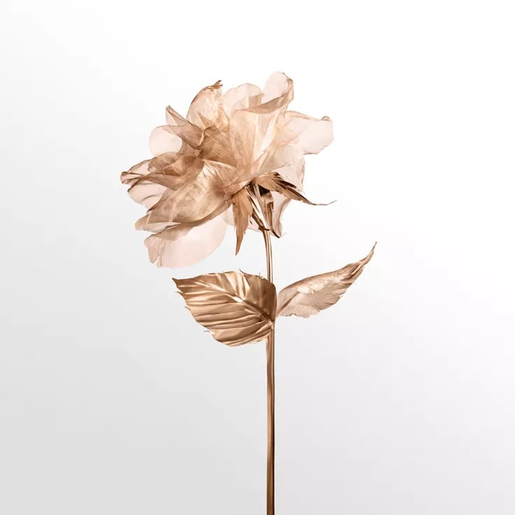 Tiffany Rose Gold Handcreme 75 ml, 4