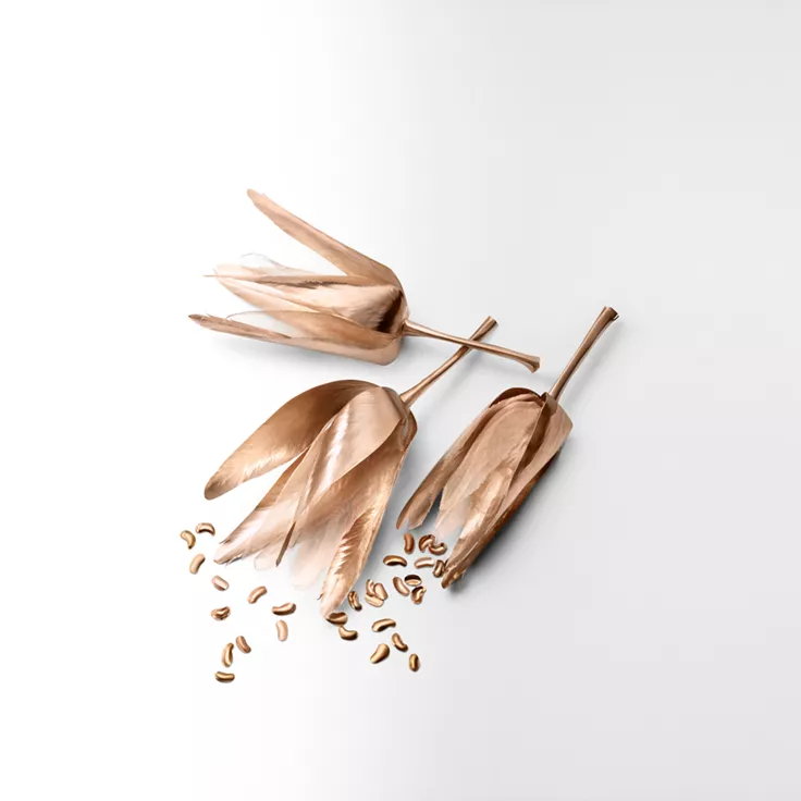 Tiffany Rose Gold Handcreme 75 ml, 5