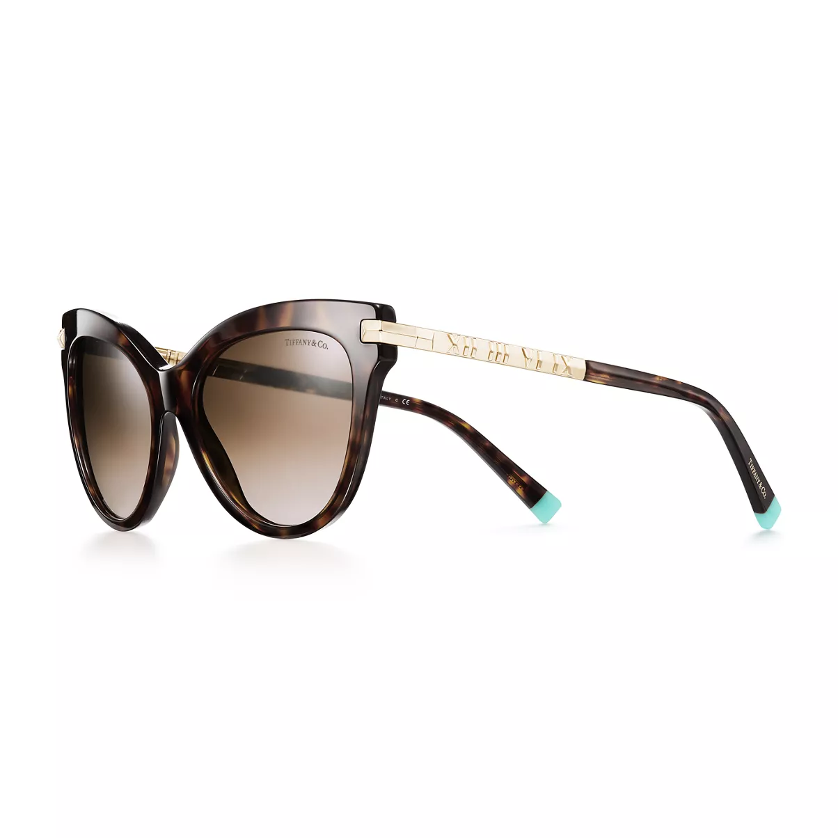 Cat Eye Sunglasses in Tortoise Acetate with Pale Gold-colored Metal Accents
