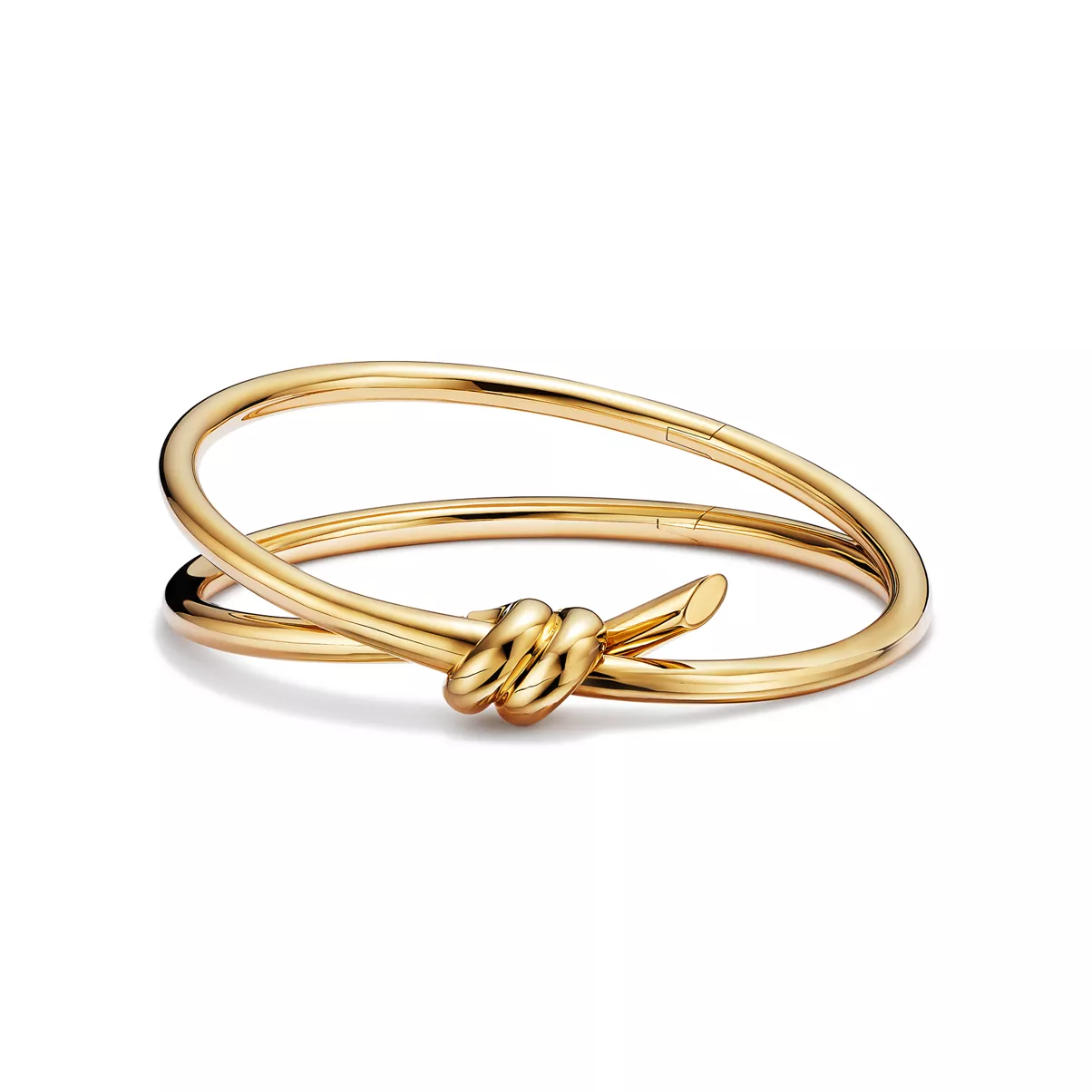 Double Row Hinged Bangle in Yellow Gold