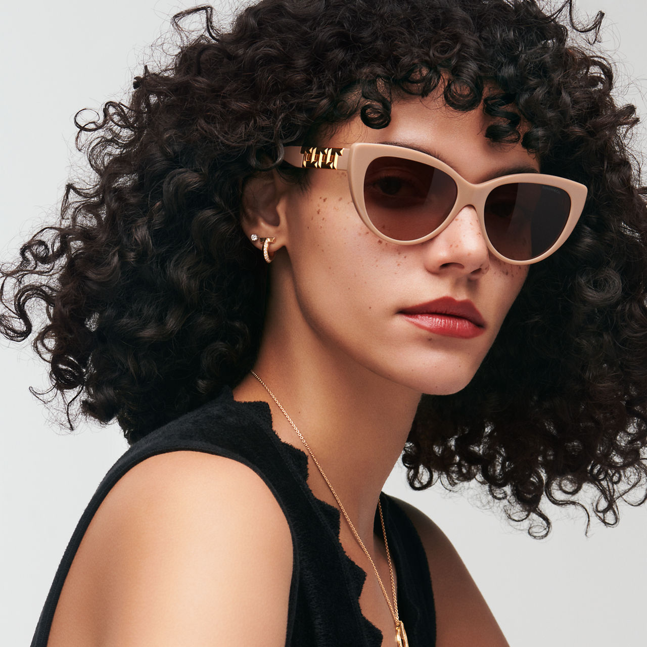 Sunglasses in Nude Acetate with Brown Gradient Lenses