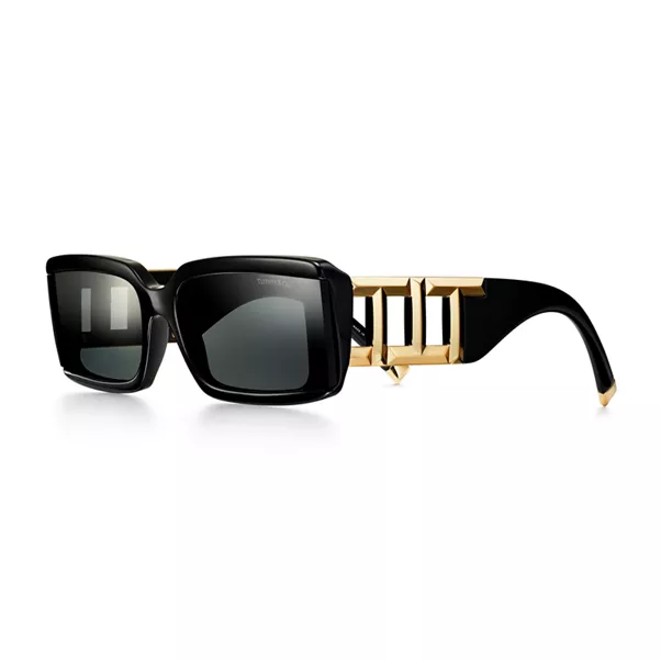 Sunglasses in Black Acetate with Dark Gray Lenses
