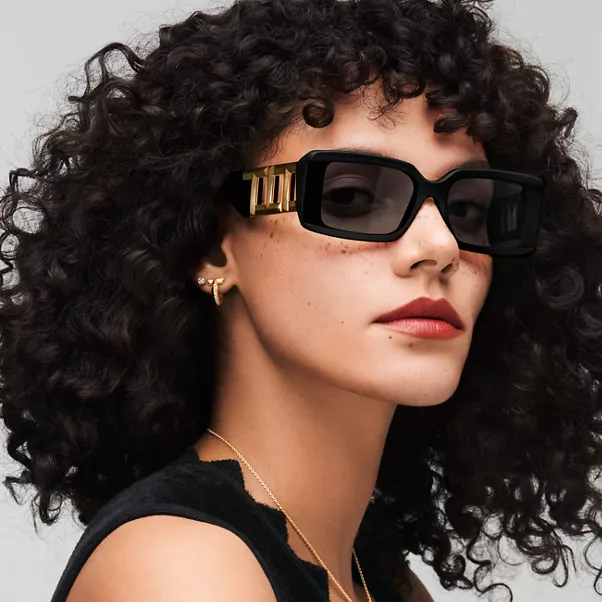 Sunglasses in Black Acetate with Dark Gray Lenses