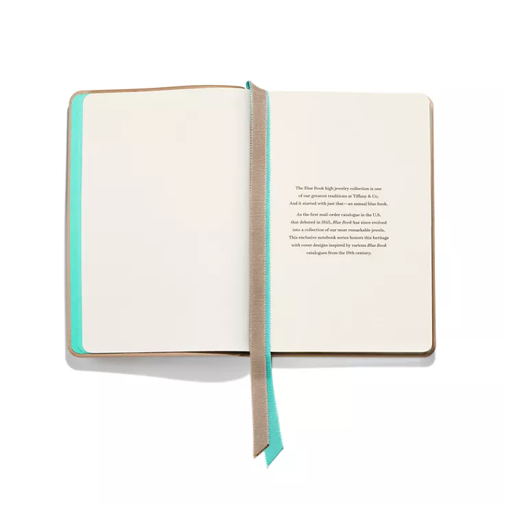 Notebook in Taupe Leather, 5