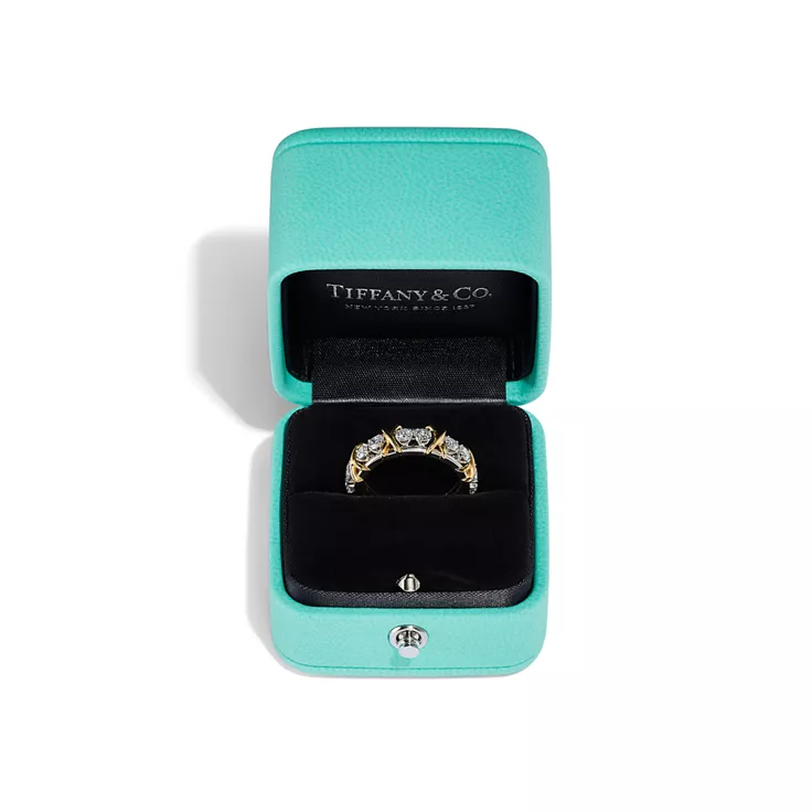 Sixteen Stone by Tiffany:Ring in Platinum and Yellow Gold with Diamonds, 5