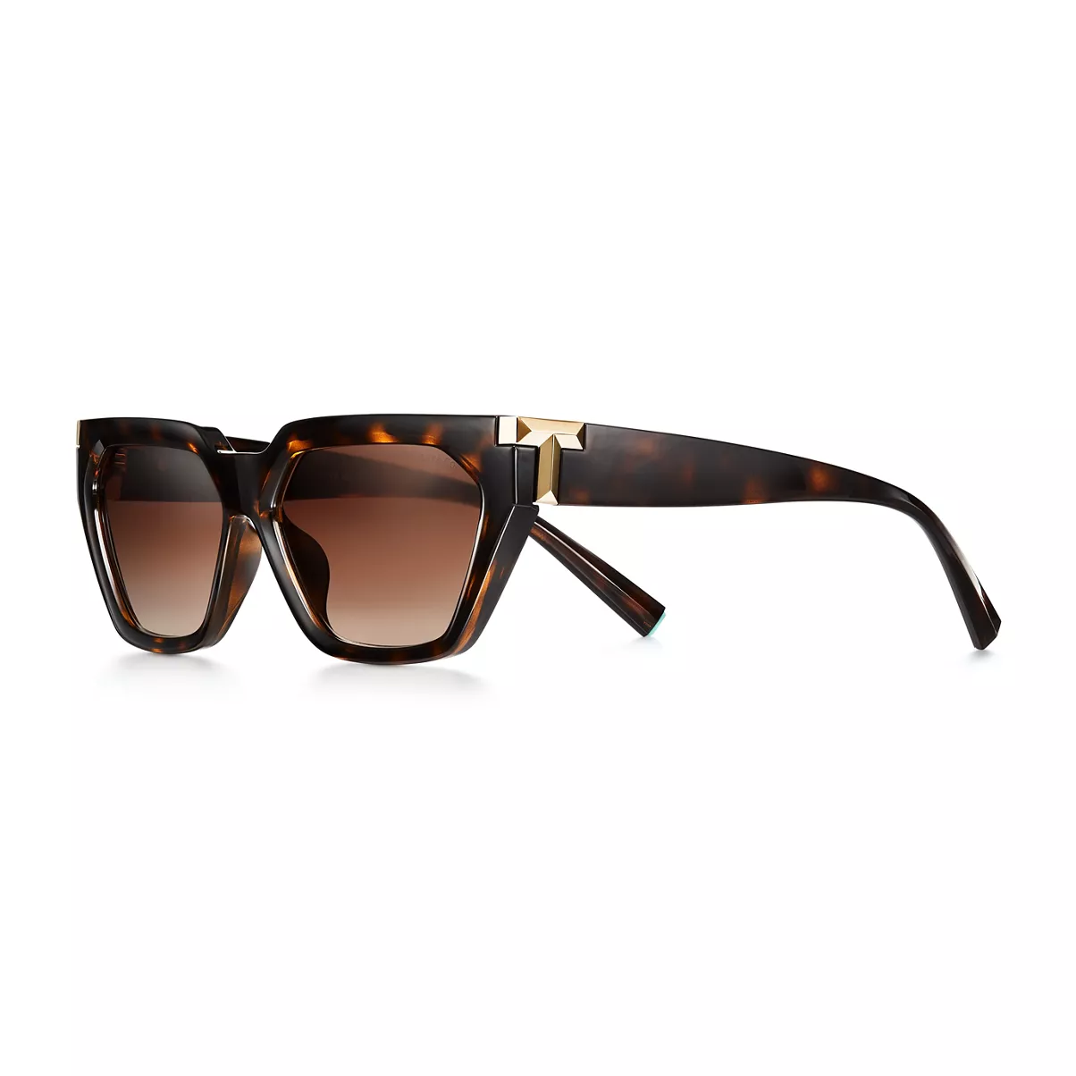 Sunglasses in Tortoise Acetate with Brown Gradient Lenses