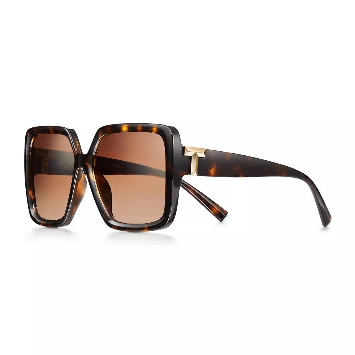 Sunglasses in Tortoise Acetate with Brown Gradient Lenses