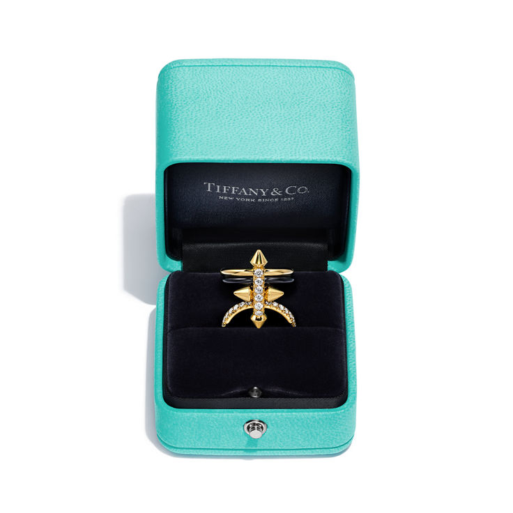 Tiffany Titan by Pharrell Williams:Ring in Titanium, Gold and Diamonds image number 11