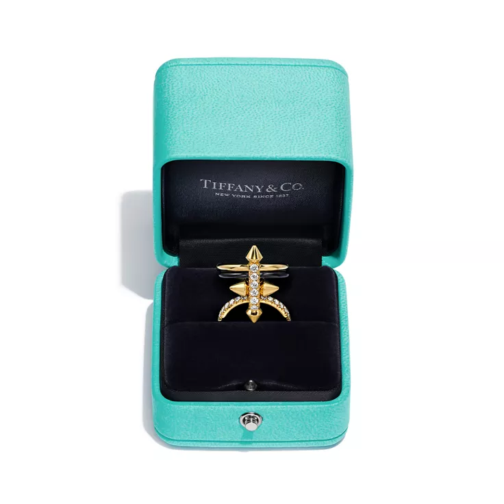 Tiffany Titan by Pharrell Williams:Ring in Titanium, Gold and Diamonds, 8