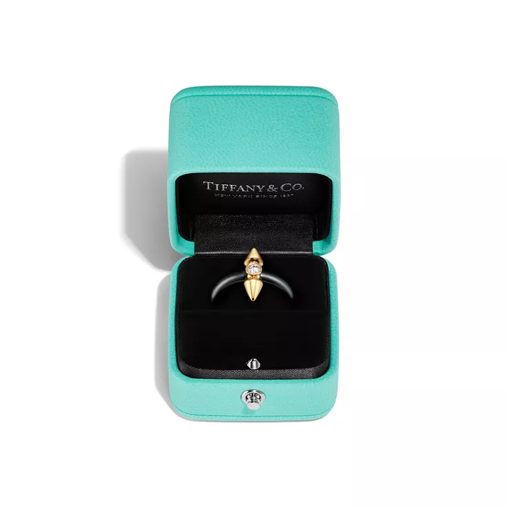 Tiffany Titan by Pharrell Williams:Ring in Titanium and Gold with a Diamond, 5