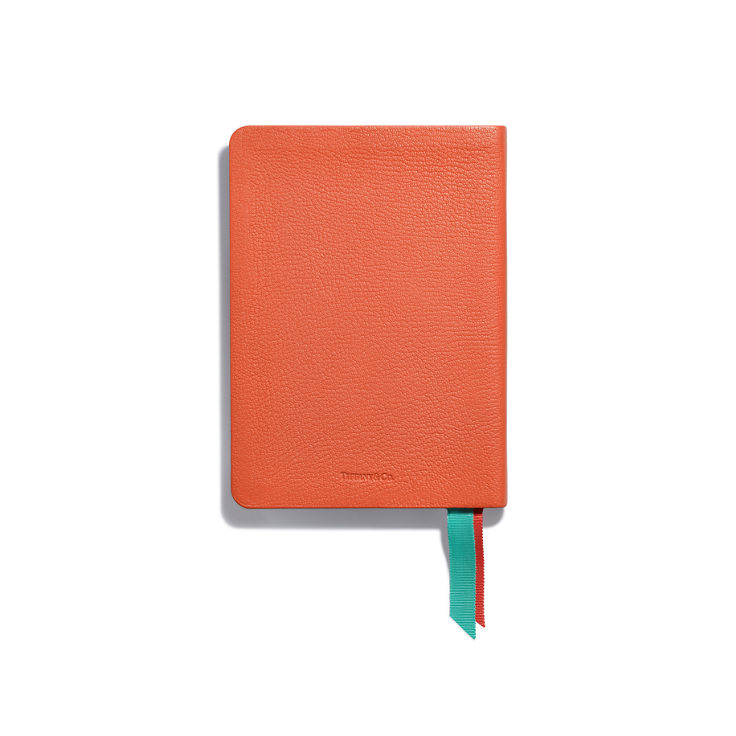 Personal Essentials:Notebook in Carnelian Orange Leather image number 5