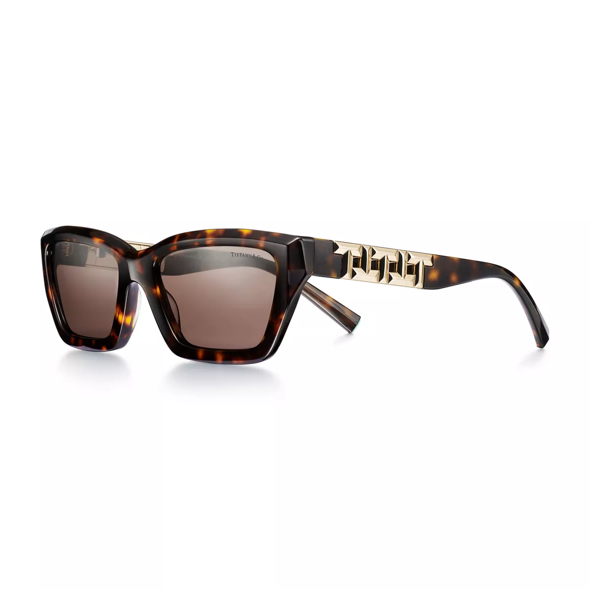 True Sunglasses in Tortoise Acetate with Light Brown Lenses