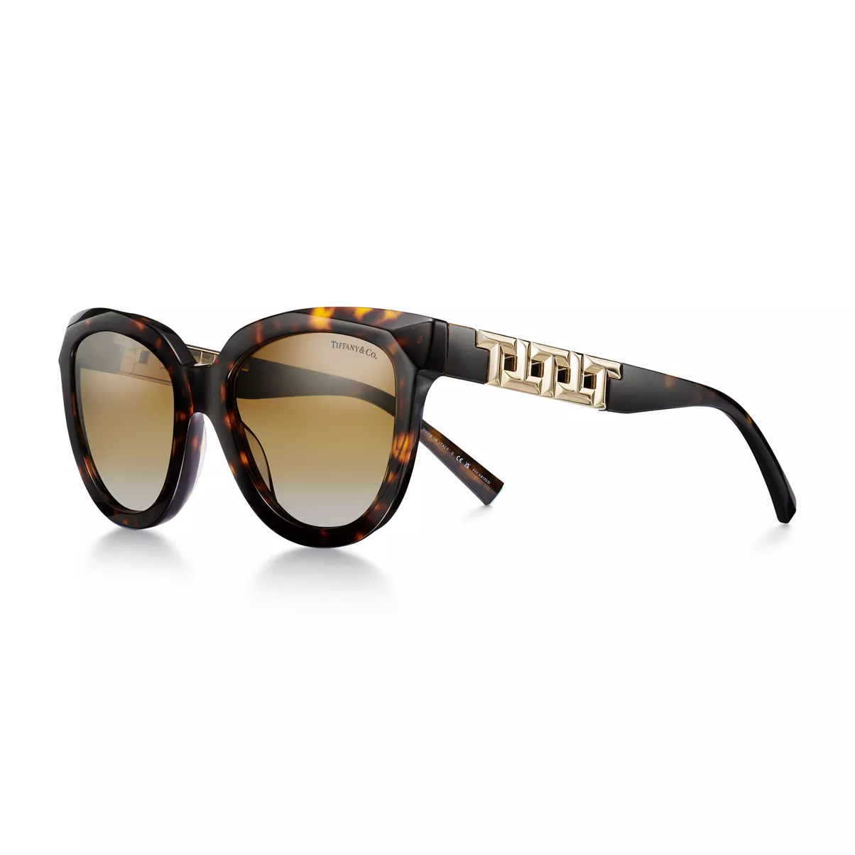 True Sunglasses in Tortoise Acetate with Brown Gradient Lenses
