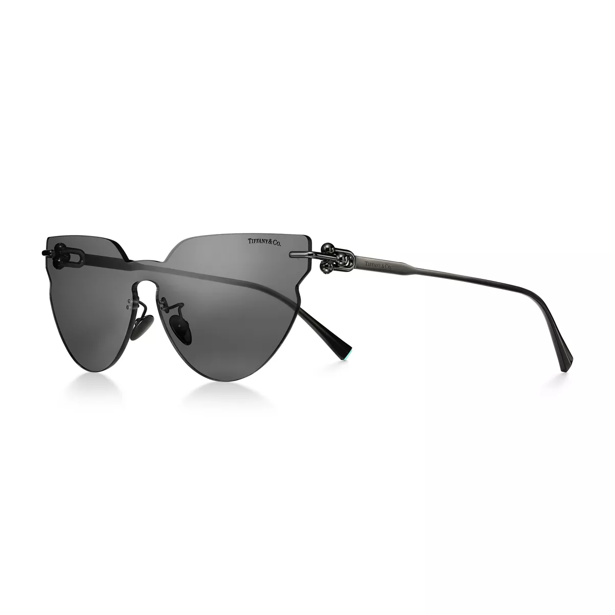 Sunglasses in Titanium with Black Lenses