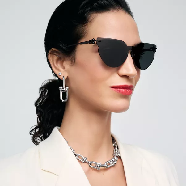 Sunglasses in Titanium with Black Lenses