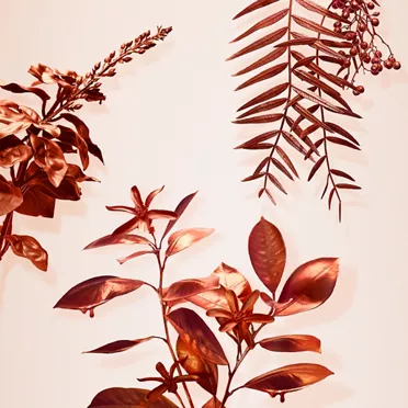 Tiffany & Co.:Rose Gold Intense Eau de Parfum 75ml, 2