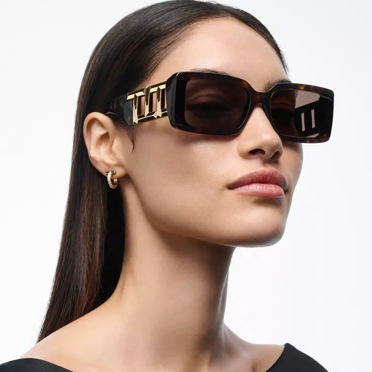 Tiffany T:Sunglasses in Tortoise Acetate, Pale Gold-coloured Metal & Brown Lenses, 1