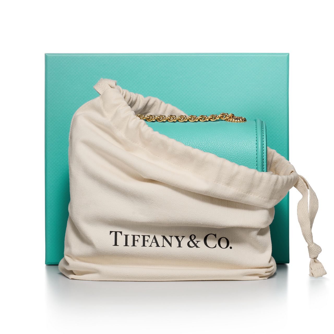 Jean Schlumberger by Tiffany:Small Ribbons Shoulder Bag in Tiffany