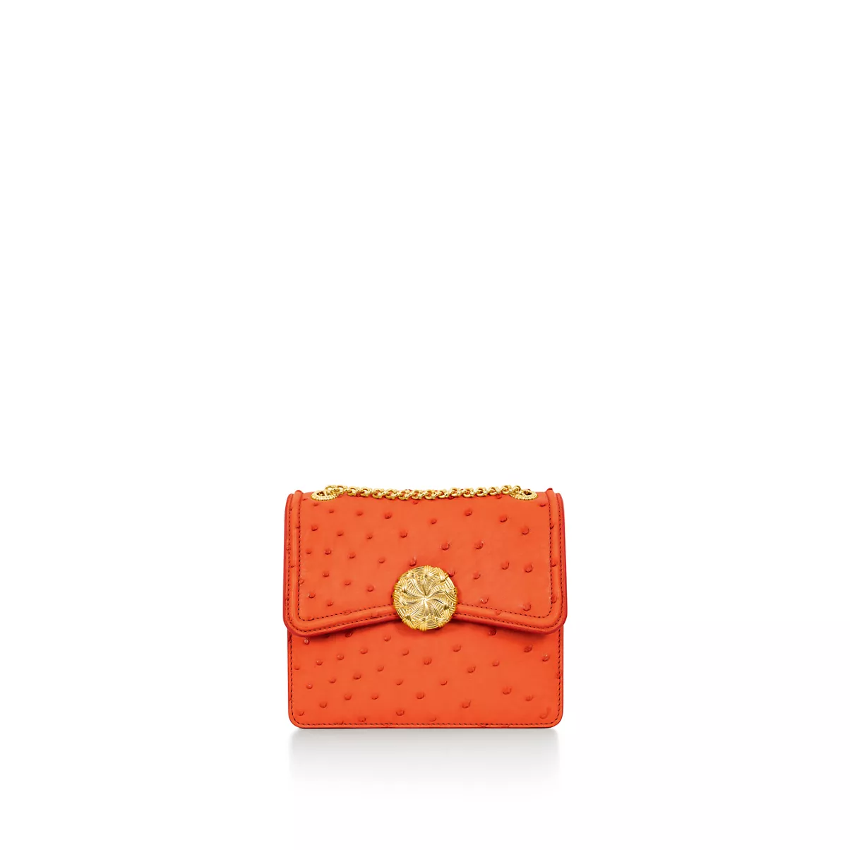 Medium Ribbons Shoulder Bag in Ostrich Leather