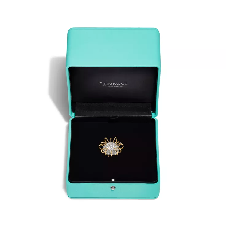 Apollo by Tiffany:Brooch in Gold and Platinum with Diamonds, 4