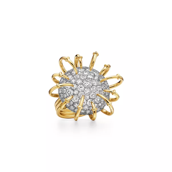 Ring in Gelbgold und Platin mit Diamanten