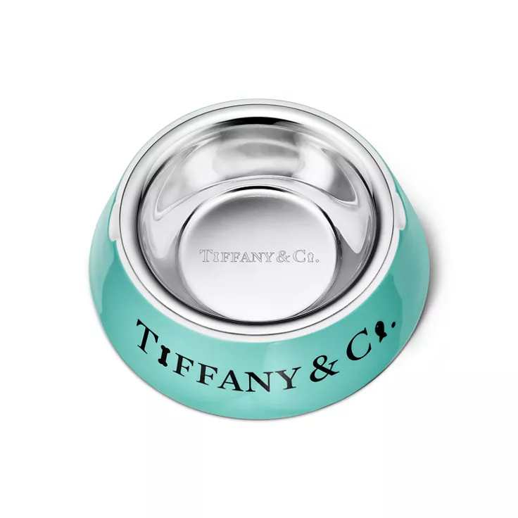 Pet Essentials:Small Bowl in Porcelain and Stainless Steel, 1