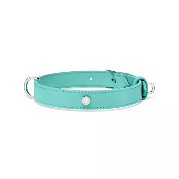 Collar in Tiffany Blue™ Leather