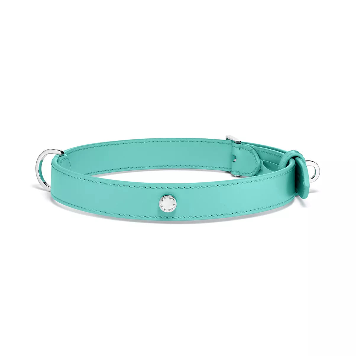 Collar in Tiffany Blue&trade; Leather