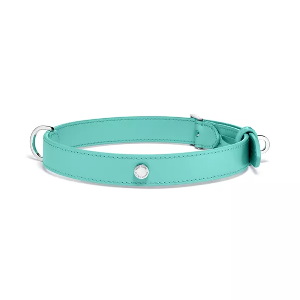Collar in Tiffany Blue™ Leather