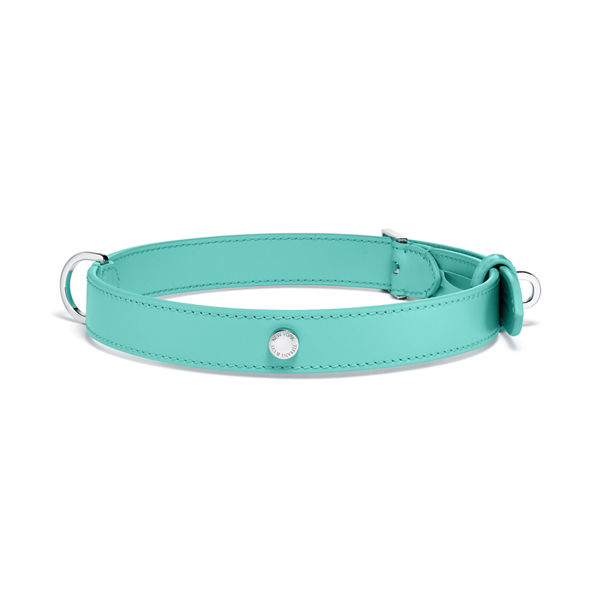 Pet Essentials:Collar de piel color Tiffany Blue®