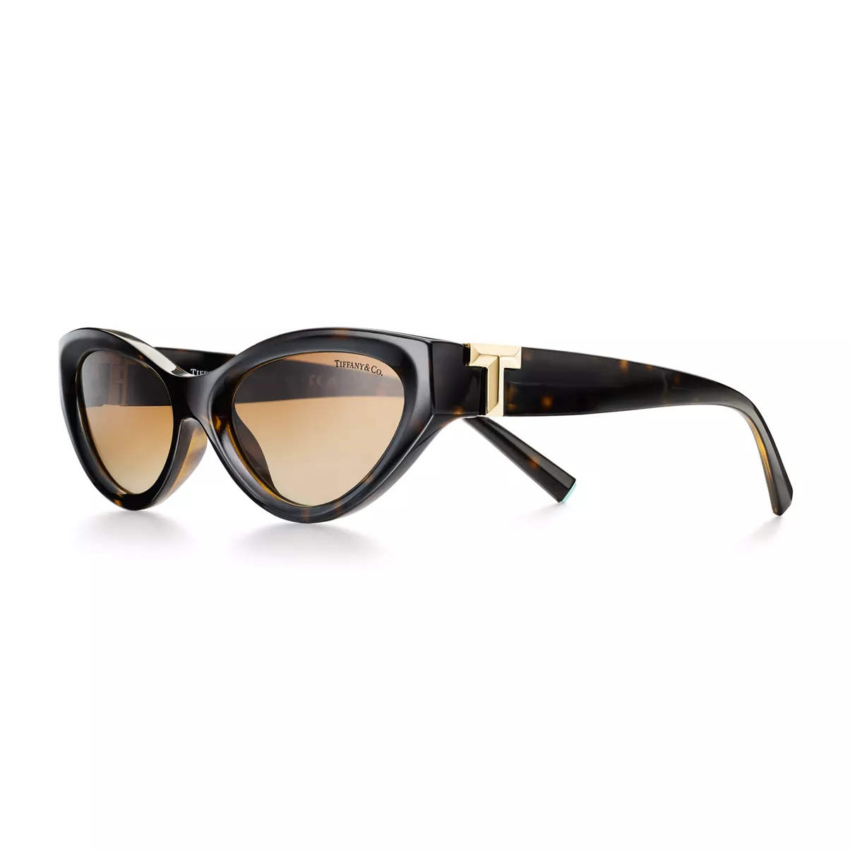 Sunglasses in Tortoise Acetate with Brown Gradient Lenses