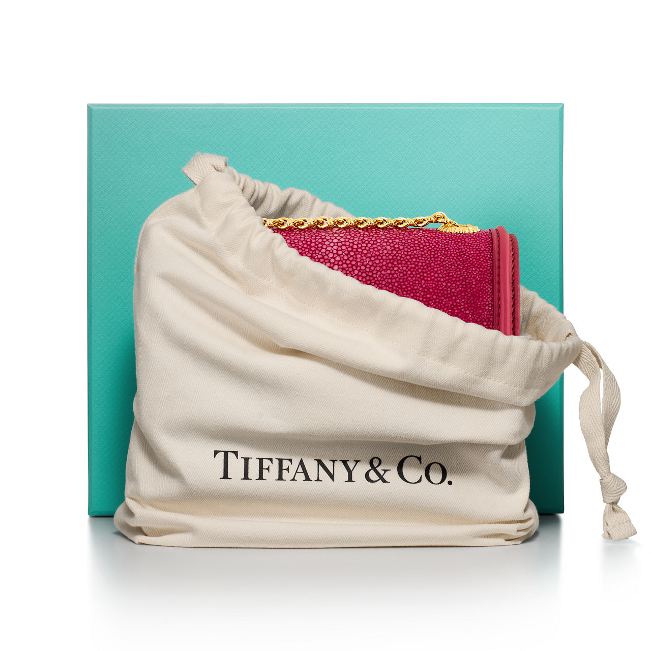 Jean Schlumberger by Tiffany:스몰 리본 숄더백, 스팅레이 레더 이미지 번호 3
