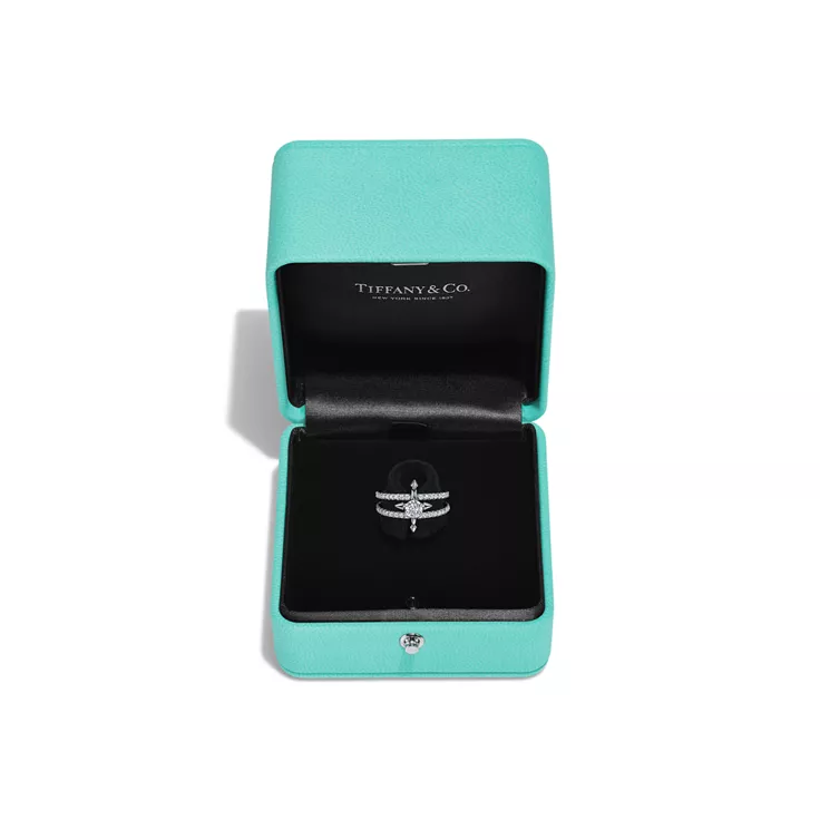 Tiffany Titan Setting by Pharrell Williams:Diamond Ring in Platinum, 6