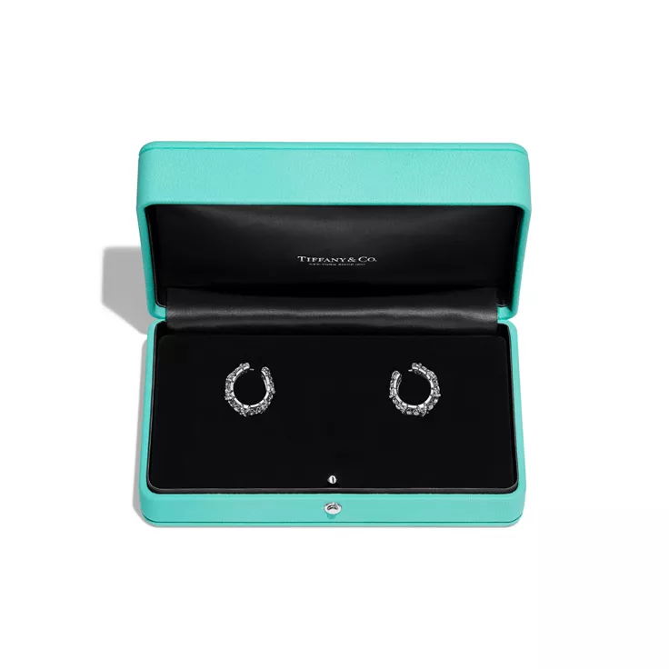 Sixteen Stone by Tiffany:Earrings in Platinum with Diamonds, 4
