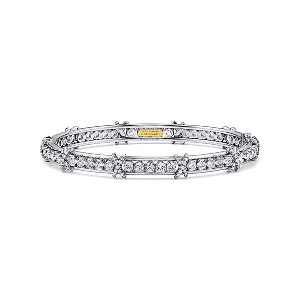 Sixteen Stone by Tiffany:Bangle in Platinum with Diamonds