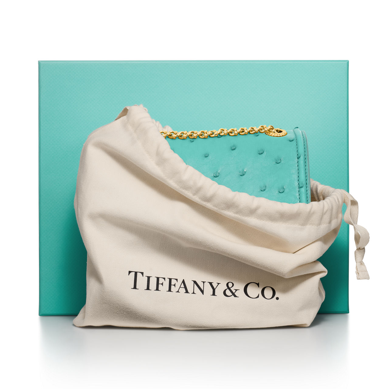 Jean Schlumberger by Tiffany:Medium Ribbons Shoulder Bag in Ostrich Leather image number 3